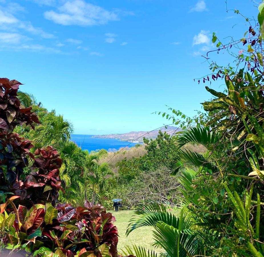 Lodge Colibris Piscine Privee Vue Panoramique Mer Et Montagne Pelee , 500 M Plage Dans Un Parc , Calme Assure Ideal Pour Decouvrir Le Nord Caraibes Le Carbet Zewnętrze zdjęcie