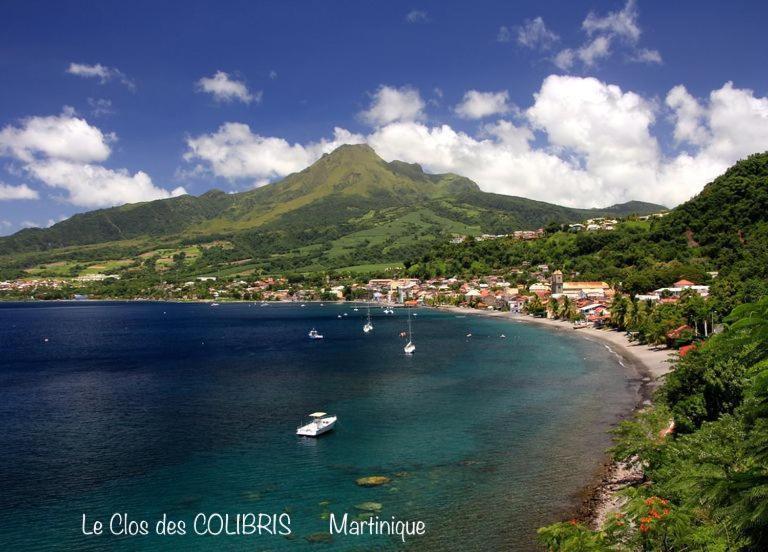 Lodge Colibris Piscine Privee Vue Panoramique Mer Et Montagne Pelee , 500 M Plage Dans Un Parc , Calme Assure Ideal Pour Decouvrir Le Nord Caraibes Le Carbet Zewnętrze zdjęcie